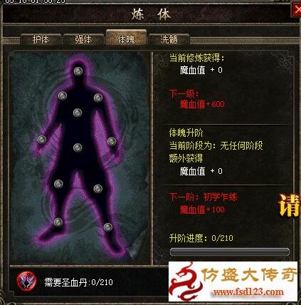 体魄