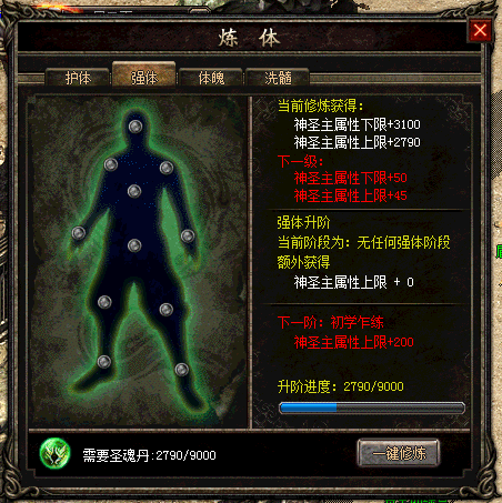 炼体