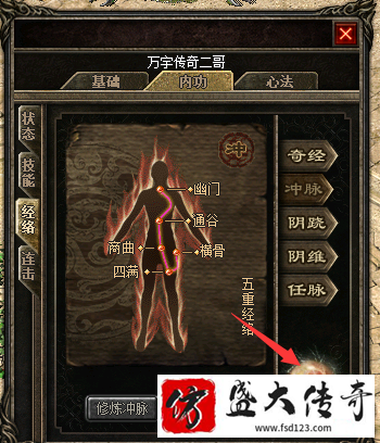 《真气石》让你的内在轻松强大十级